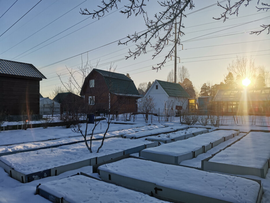 г. Среднеуральск, СНТ Энергетик-1, ул. Свердлова, 3 (городской округ Среднеуральск) - фото сада (1)