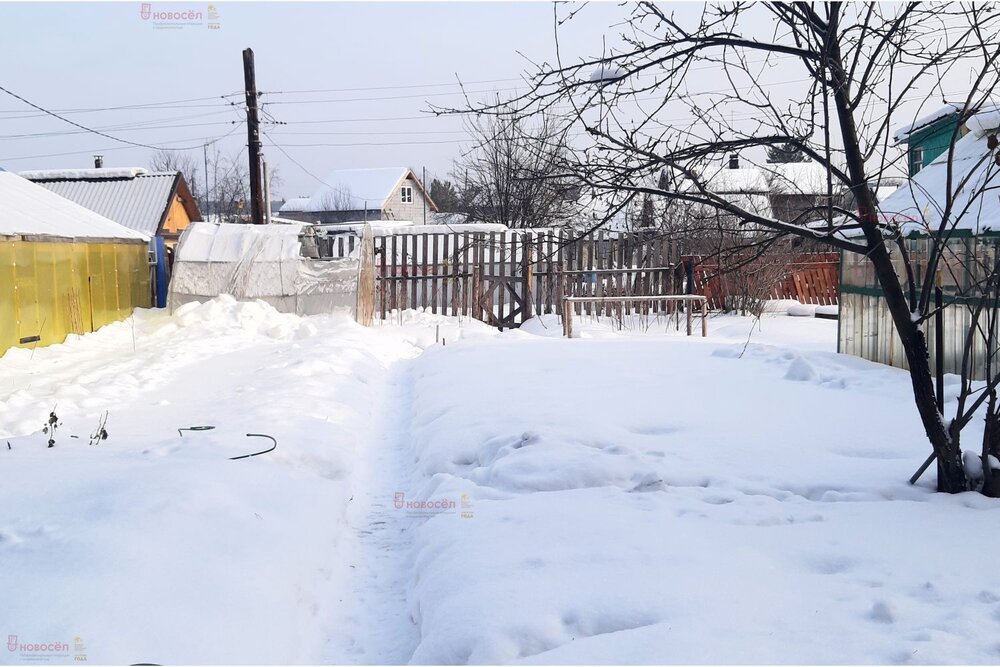 г. Березовский, коллективный сад 37, уч. 23 (городской округ Березовский) - фото сада (3)