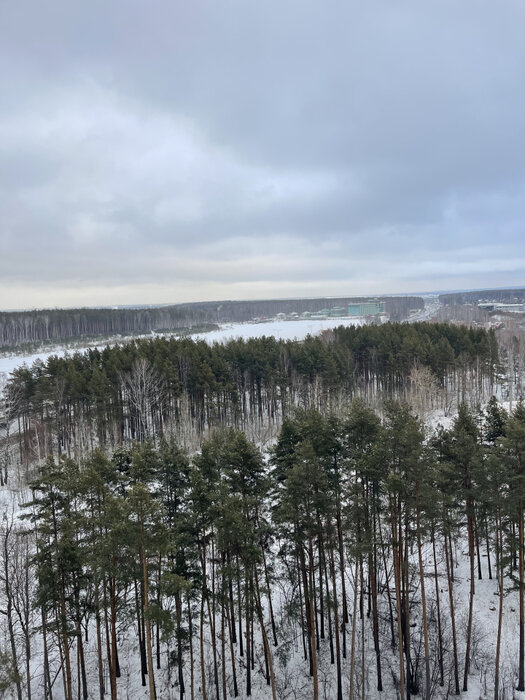 Екатеринбург, ул. микрорайон Светлый, 5 (Уктус) - фото квартиры (2)