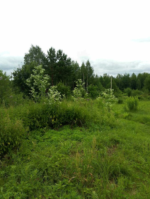 г. Кировград, СНТ Марина. (городской округ Кировградский) - фото сада (3)