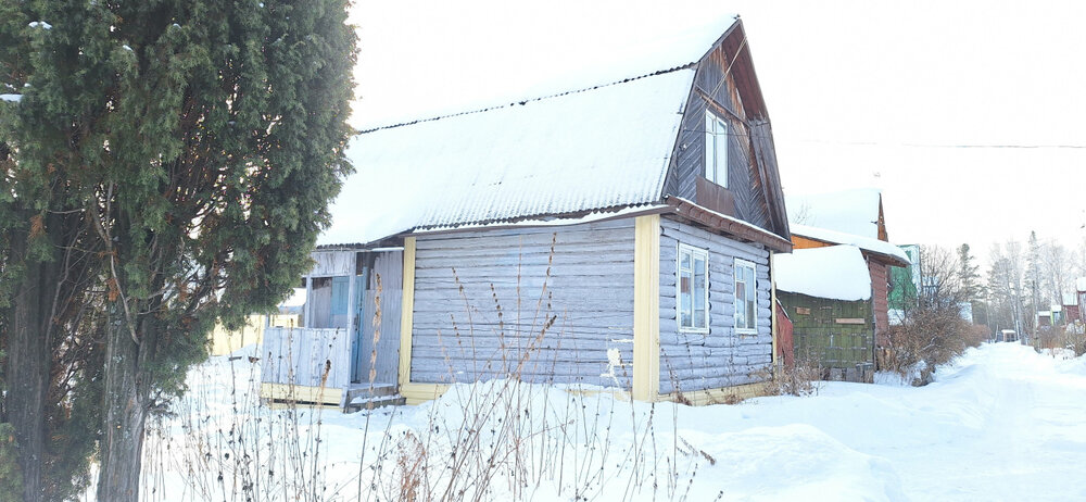 г. Нижний Тагил, к/с  СНТ Старатель № 1-2, ул. Мичурина, 330 (городской округ Нижний Тагил) - фото сада (1)