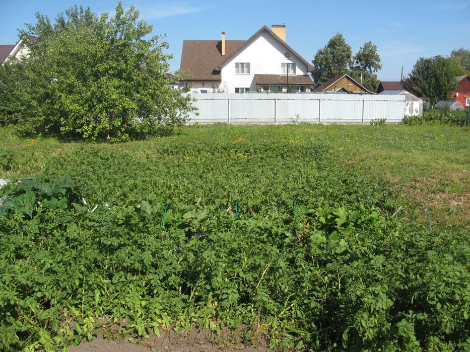 г. Арамиль, ул. Мира, 7 (городской округ Арамильский) - фото земельного участка (4)