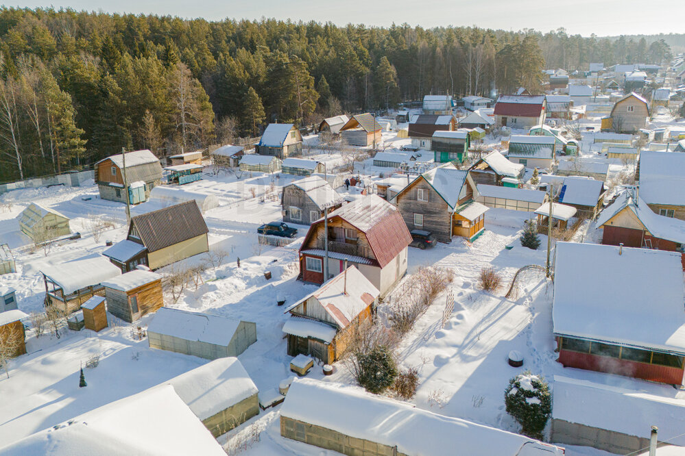 г. Среднеуральск, СНТ Сталь (городской округ Среднеуральск) - фото сада (8)