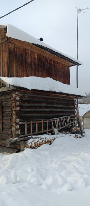 г. Первоуральск, СНТ 54/1 (городской округ Первоуральск) - фото сада (2)