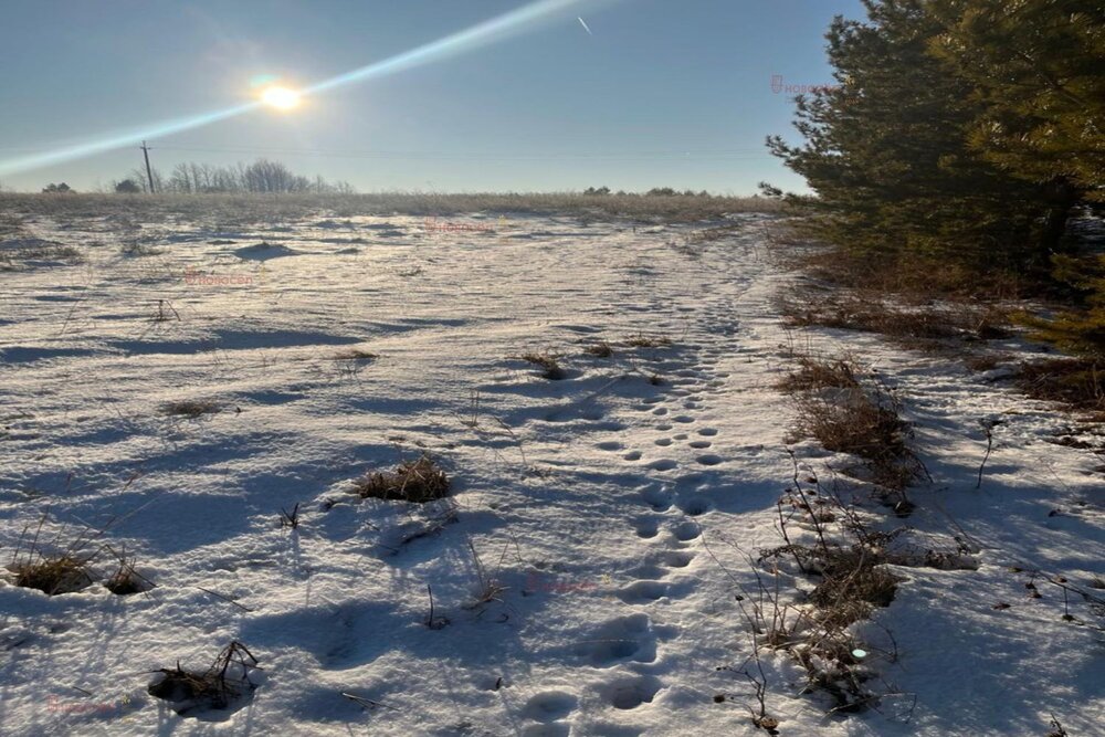 г. Реж, ул. Полевая (городской округ Режевской) - фото земельного участка (2)