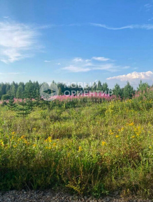 с. Кунгурка, ул. урочище Дегтяные, 129 (городской округ Ревда) - фото земельного участка (6)