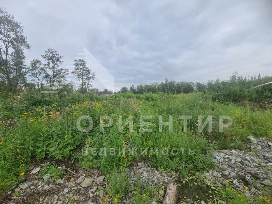 Екатеринбург, ул. Редколесья (Полеводство) - фото земельного участка (1)