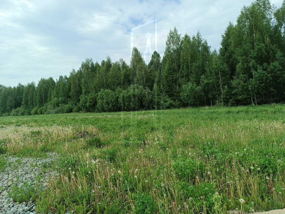 п. Канал, ул. коттеджный посёлок Оникс (городской округ Первоуральск) - фото земельного участка (4)