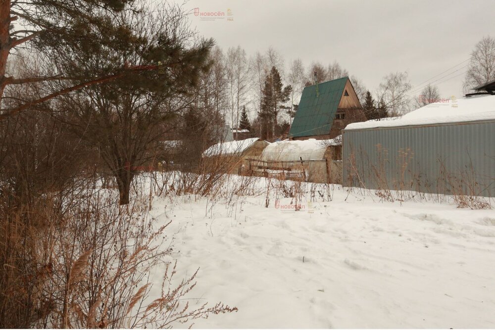 Екатеринбург, СНТ Трансформаторщик, уч. 131 (Карасьеозерск) - фото сада (6)