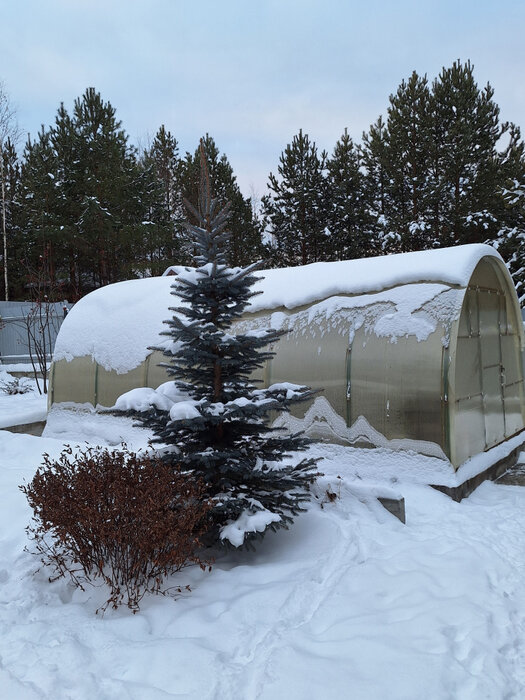 д. Коптяки, ул. Центральная, 16Б (городской округ Среднеуральск) - фото коттеджа (8)