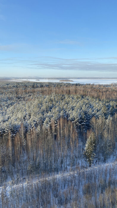 Екатеринбург, ул. Зеленый остров, 12 (ВИЗ) - фото квартиры (2)