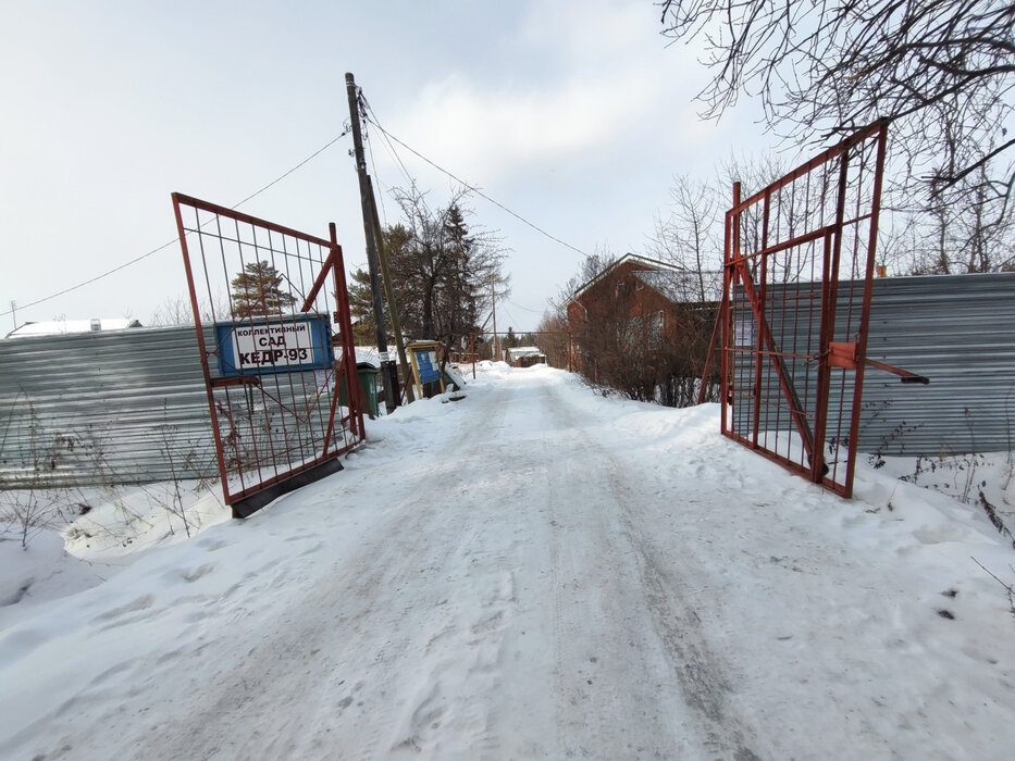 Екатеринбург, КС Кедр-93, уч.   - фото сада (2)