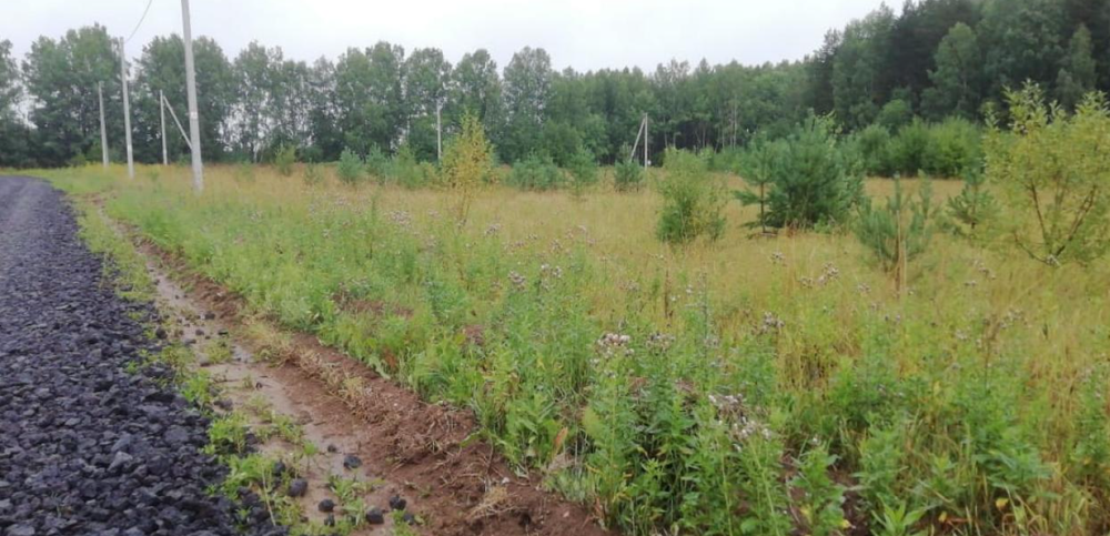 с. Курганово, ул. Елизаветинская (городской округ Полевской) - фото земельного участка (1)