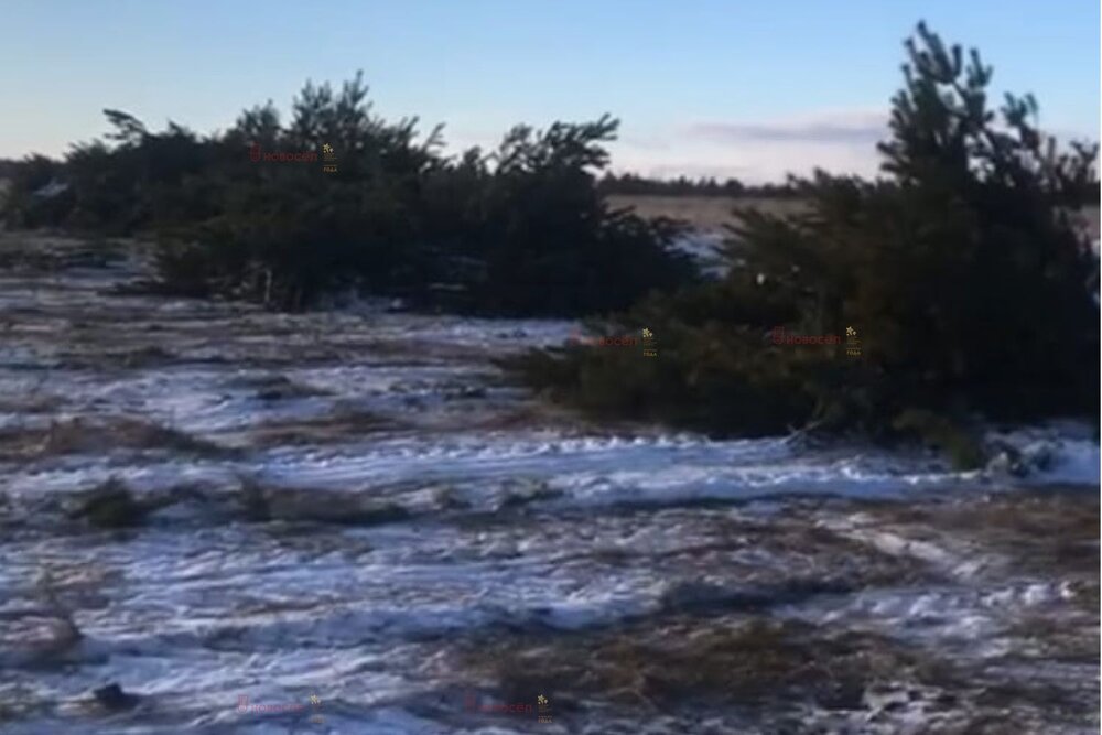 с. Маминское, ул. Советская (городской округ Город Каменск-Уральский) - фото земельного участка (6)