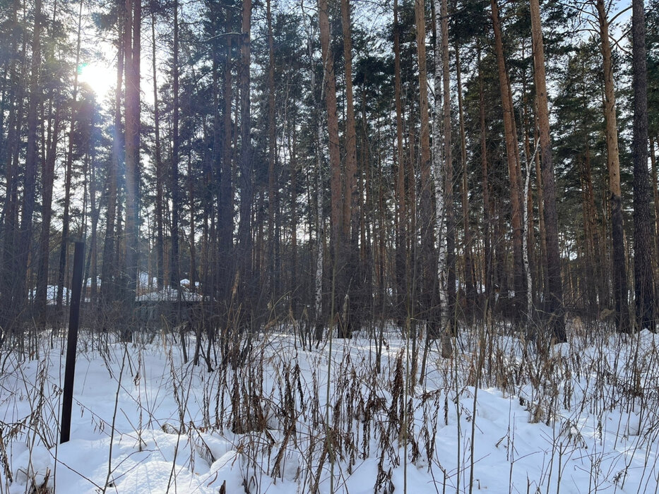 Екатеринбург, ул. Малый Исток - фото земельного участка (3)