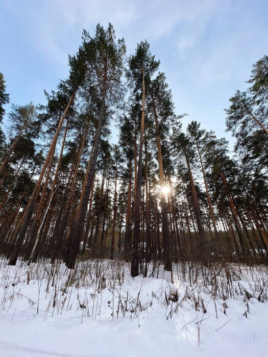 Екатеринбург, ул. Малый Исток - фото земельного участка (4)