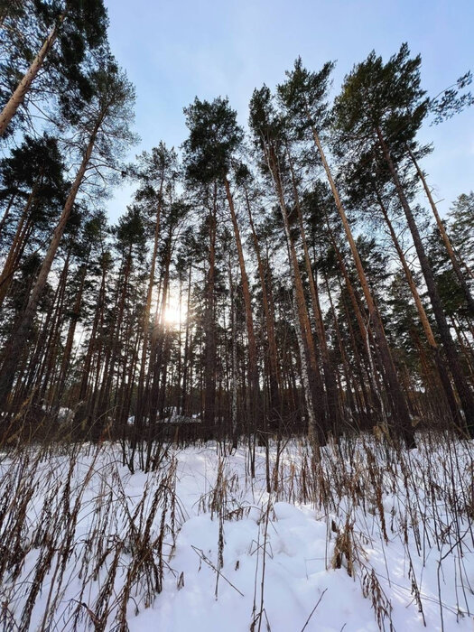 Екатеринбург, ул. Малый Исток - фото земельного участка (5)