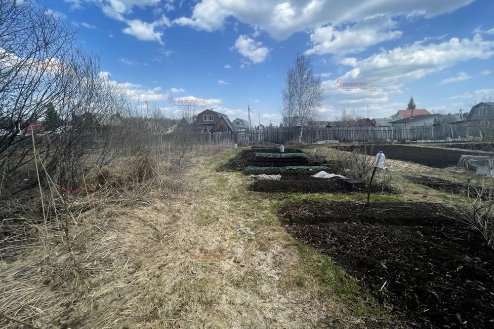 с. Балтым, СНТ Госучреждений №2 (городской округ Верхняя Пышма) - фото сада (6)