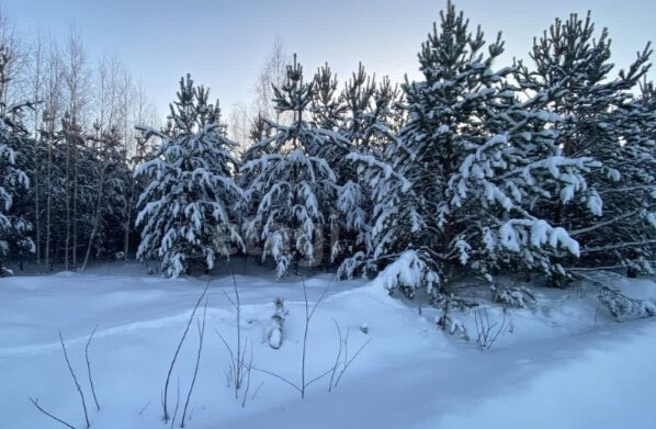 п. Рассоха, ул. Павловский, 8 (городской округ Белоярский) - фото дома (4)