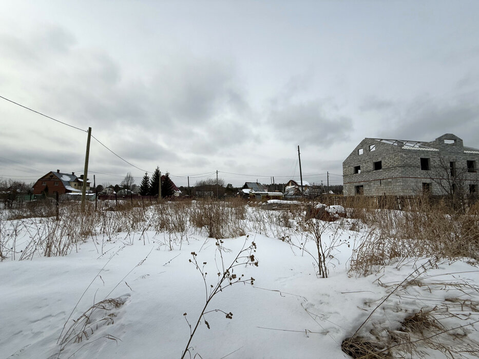 п. Монетный, ул. Дружбы, 2 (городской округ Березовский) - фото земельного участка (4)