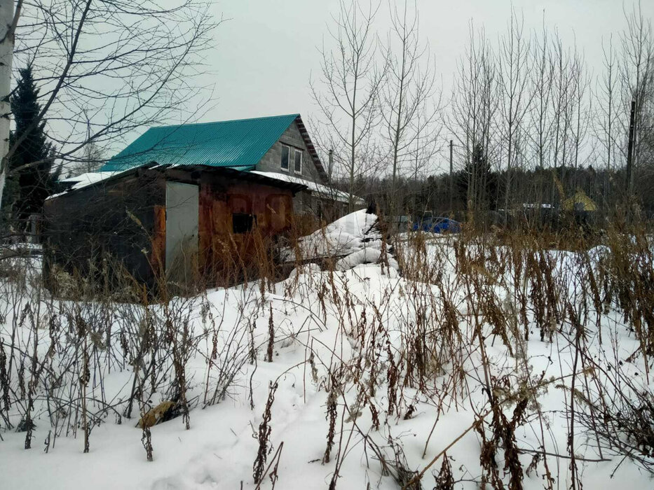 Екатеринбург, Снт Виктория, ул. Вишневая, 14 (Широкая речка) - фото сада (1)