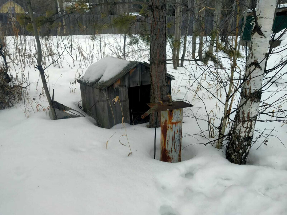 Екатеринбург, Снт Виктория, ул. Вишневая, 14 (Широкая речка) - фото сада (4)