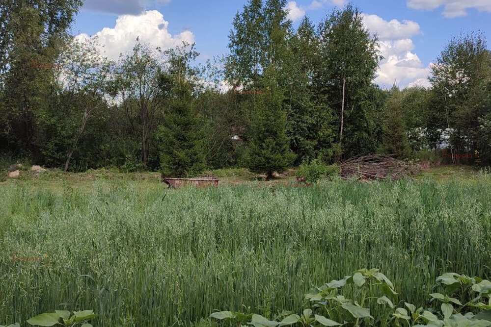 Екатеринбург, ул. Пильщиков, 6 (Кольцово) - фото земельного участка (3)