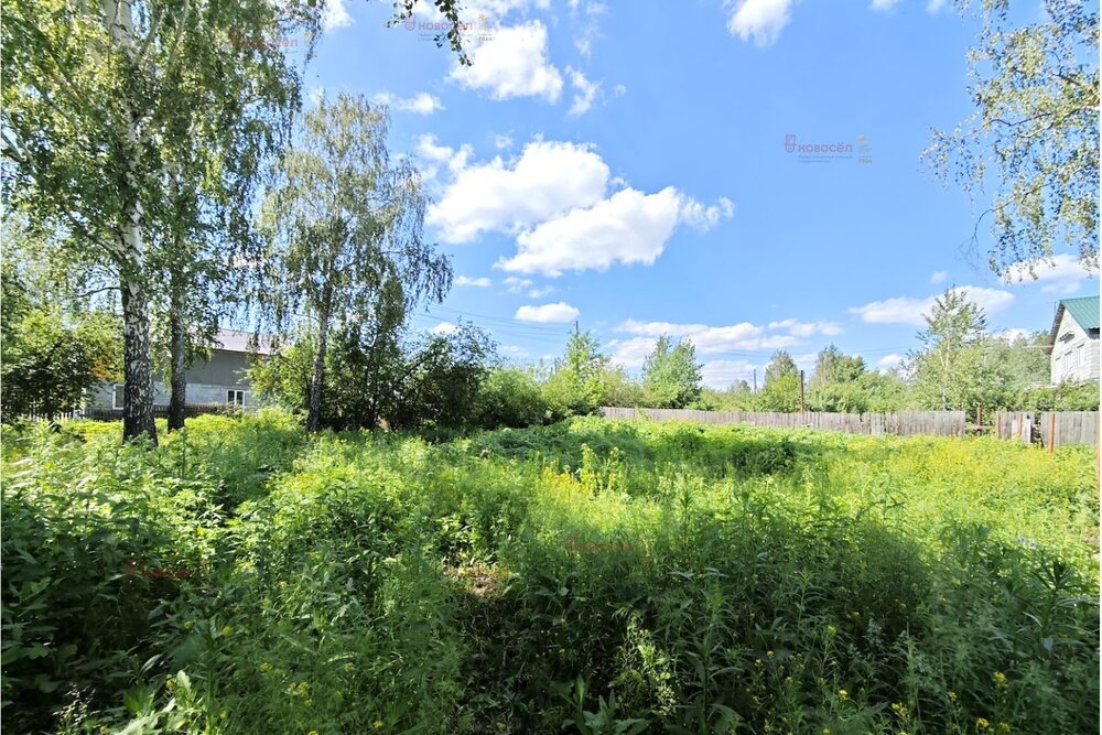 п. Большой Исток, ул. Луговая, 6 (городской округ Сысертский) - фото земельного участка (4)