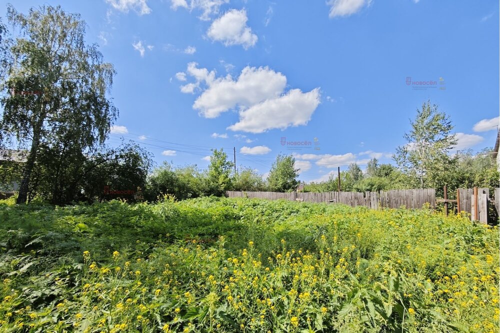 п. Большой Исток, ул. Луговая, 6 (городской округ Сысертский) - фото земельного участка (6)