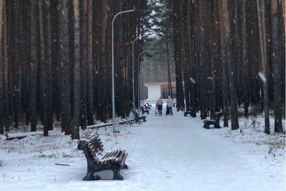 Екатеринбург, коллективный сад Южный Института Уралгипрошахт - фото сада (1)