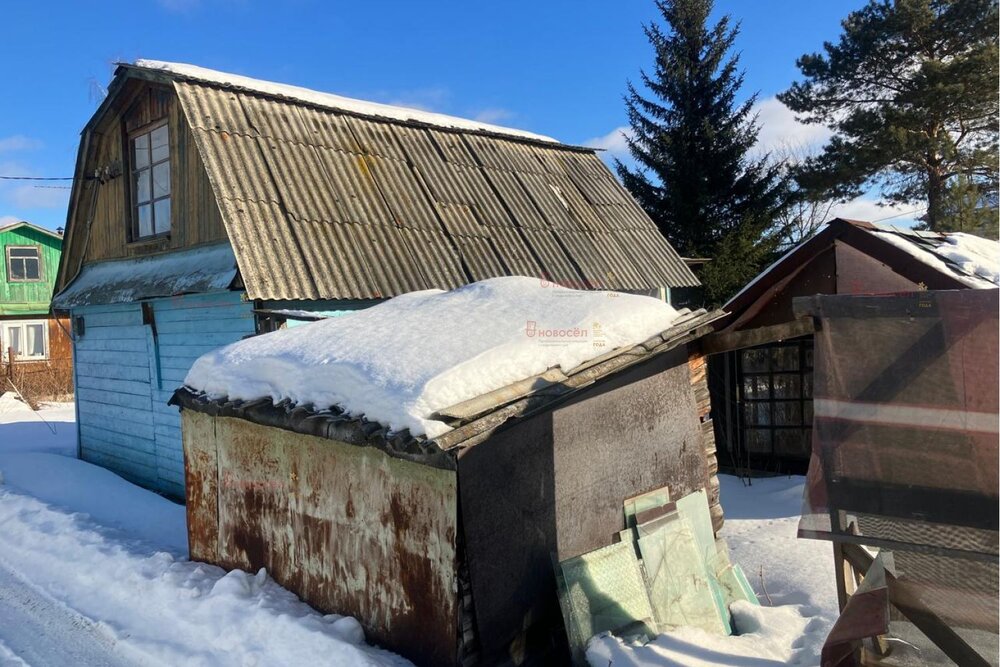 Екатеринбург, коллективный сад Южный Института Уралгипрошахт - фото сада (4)