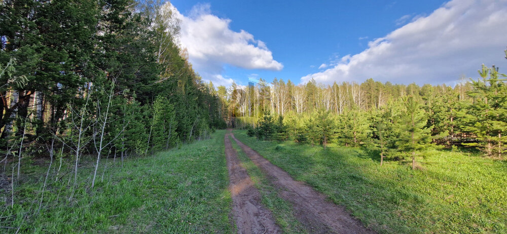 к.п. Чистые росы-2, ул. Турмалиновая, 26А (городской округ Белоярский) - фото земельного участка (2)