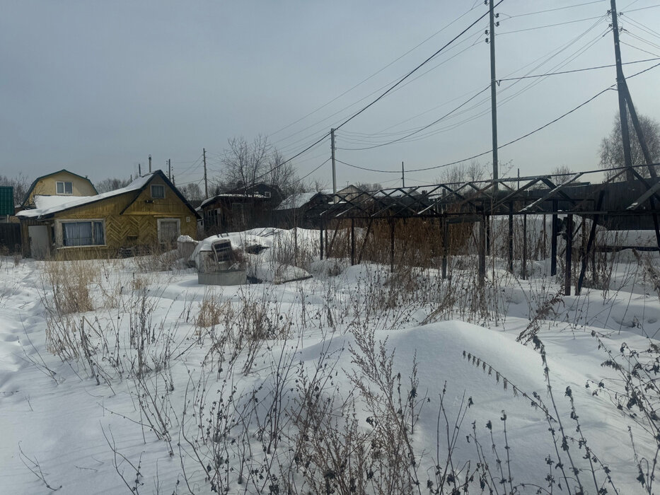 Екатеринбург, СНТ Ручеёк - фото сада (3)