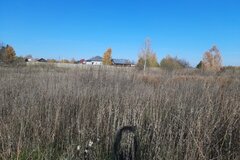 с. Бруснятское, ул. Заречная, 10 (городской округ Белоярский) - фото земельного участка