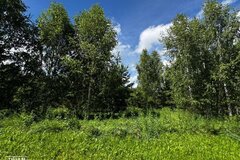 к.п. Лукоморье, ул. Лукоморье, 50 (городской округ Сысертский, с. Щелкун) - фото земельного участка