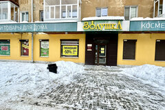 Екатеринбург, ул. Белинского, 165 (Автовокзал) - фото торговой площади