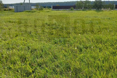 к.п. Журавли, уч. 173 (городской округ Сысертский, с. Черданцево) - фото земельного участка