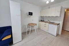 Екатеринбург, ул. Савкова, 23/2 - фото квартиры