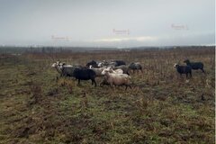 с. Поташка, ул. Ленина (городской округ Артинский) - фото земельного участка