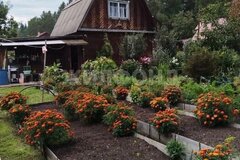 г. Нижний Тагил, ул. Торфяная (КС Росинка), (городской округ Нижний Тагил) - фото дачи