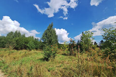 с. Мезенское, ул. Изумрудная (городской округ Заречный) - фото земельного участка