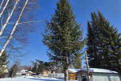 Екатеринбург, ул. Зеленый бор (Горный щит) - фото земельного участка