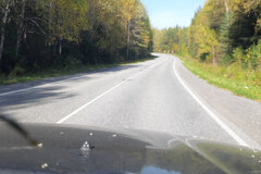 п. Шаля, ул. Урицкого, (городской округ Шалинский) - фото дома