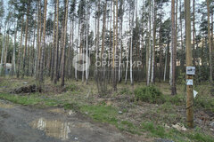 п. Полевой, ул. Боровая, 14 (городской округ Сысертский) - фото земельного участка