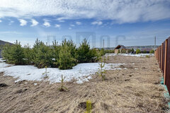 с. Черданцево, ул. Брусника, (городской округ Сысертский) - фото земельного участка