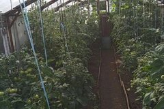 г. Каменск-Уральский, ул. Луговая, 14 (городской округ Каменский) - фото земельного участка