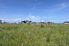 д. Гусева, ул. Петровская, 41 (городской округ Белоярский) - фото земельного участка