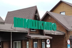 к.п. Шишкино, ул. Смородиновая, 4 (городской округ Березовский) - фото земельного участка