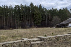 п. Трактовский, ул. Лесная, (городской округ Сысертский) - фото земельного участка