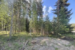 п. Таватуй, ул. Мира, 5 (городской округ Невьянский) - фото земельного участка